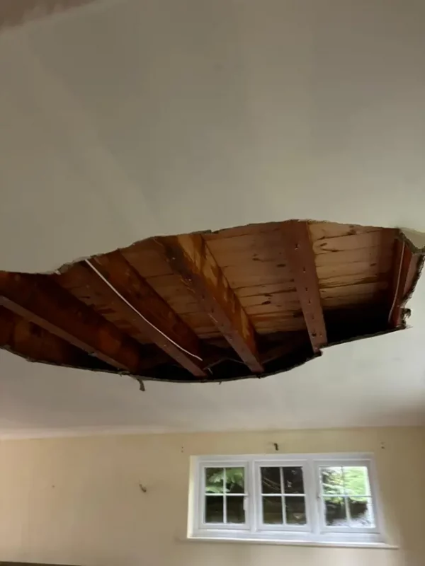water damage restoration