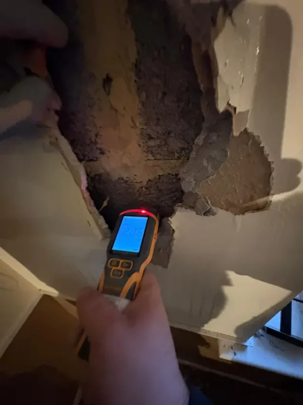 Water damage repair company