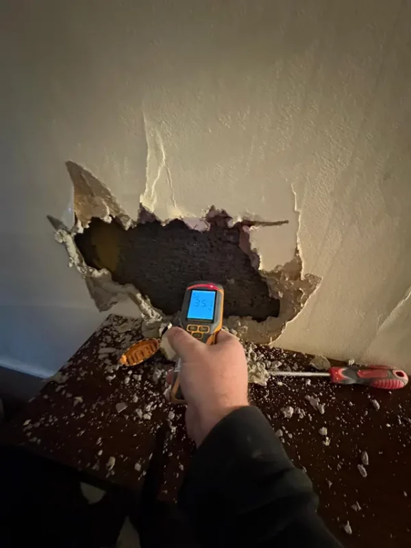 what to do water damage