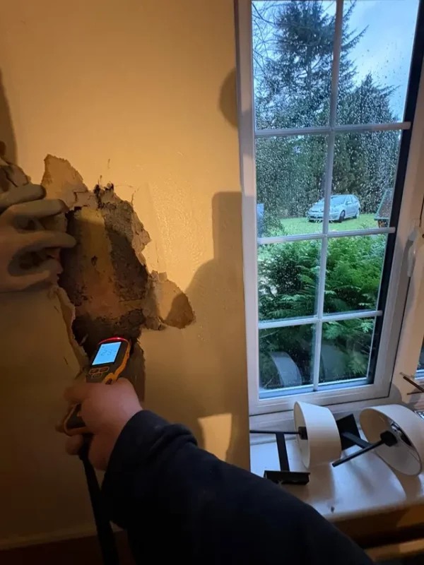 what to do leak damage